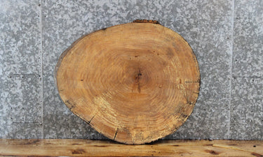 Maple Live Edge Wood Slab, Tree Slice Slab, Wood 6414